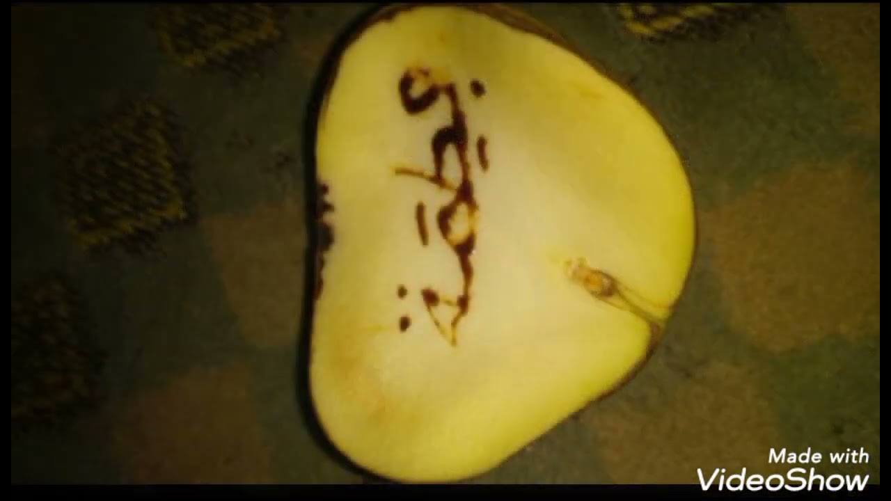 sirin Mallika mai zafi