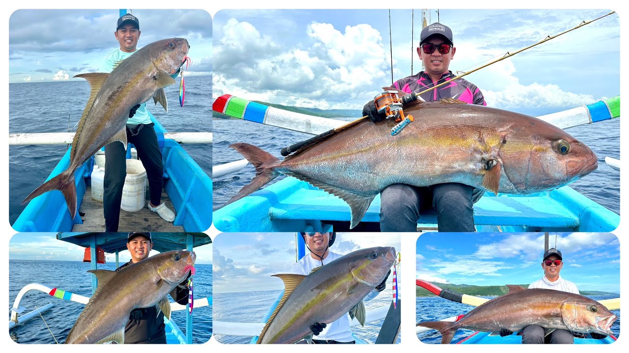 5 MONSTER AMBERJACK ‼️ MANCING BOSQUE ‼️