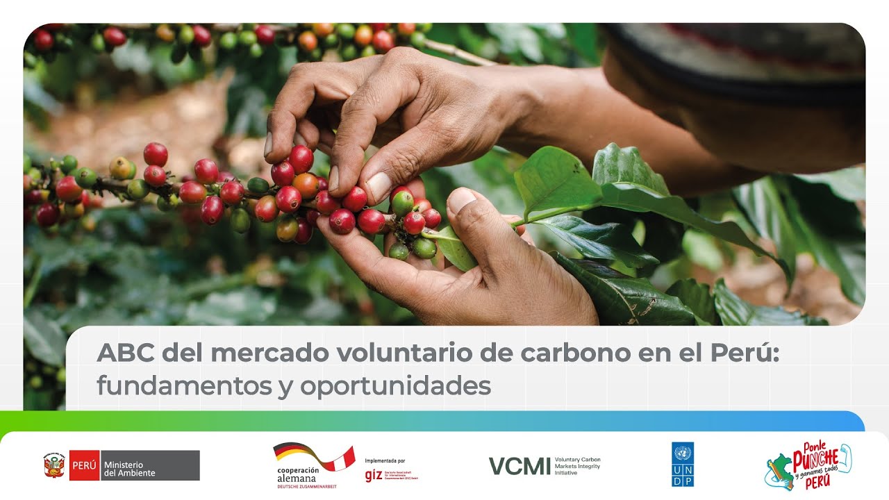 🔴  ABC del mercado voluntario de carbono en el Perú: fundamentos y oportunidades - Día 2 | Tarde
