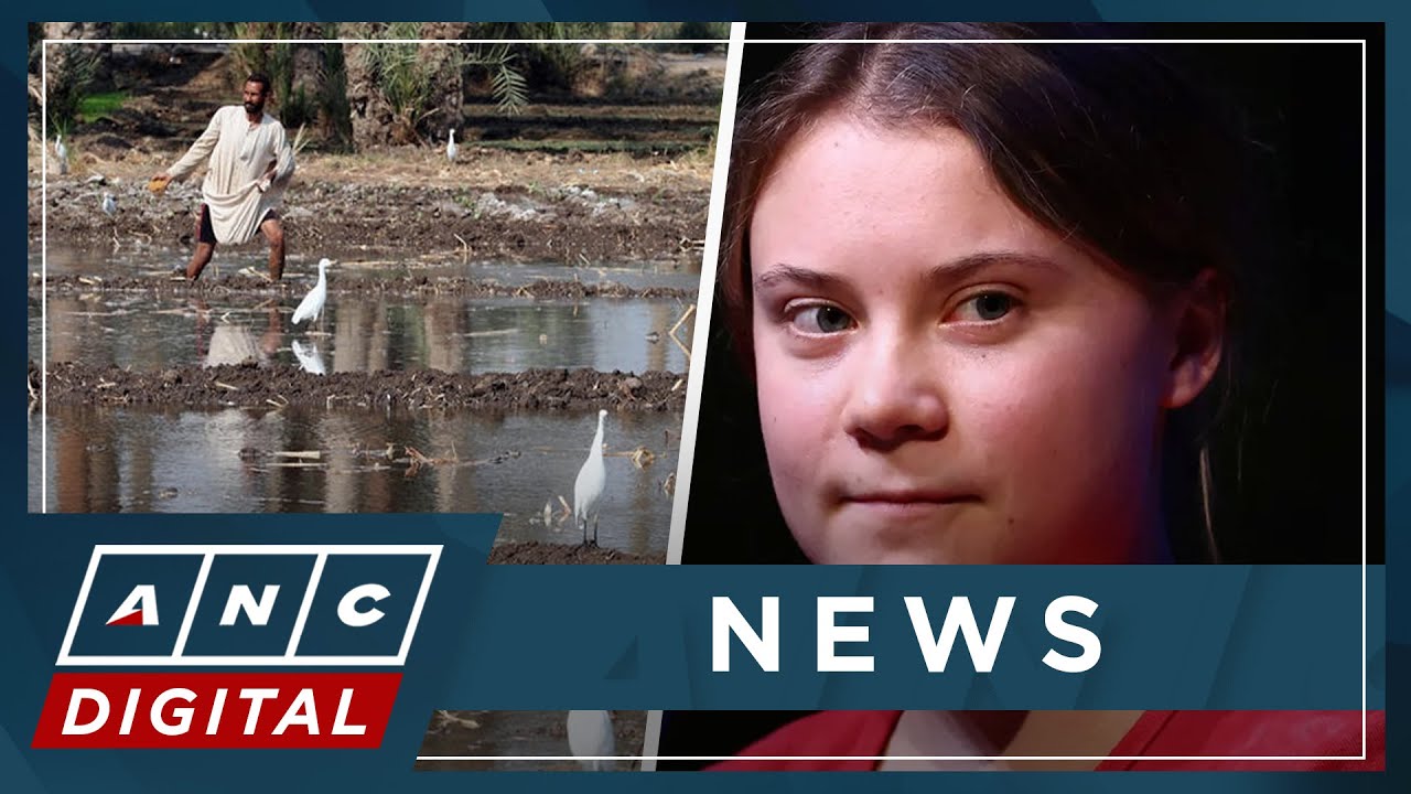 Greta Thunberg to skip &lsquo;greenwashing&rsquo; Cop27 climate summit | ANC