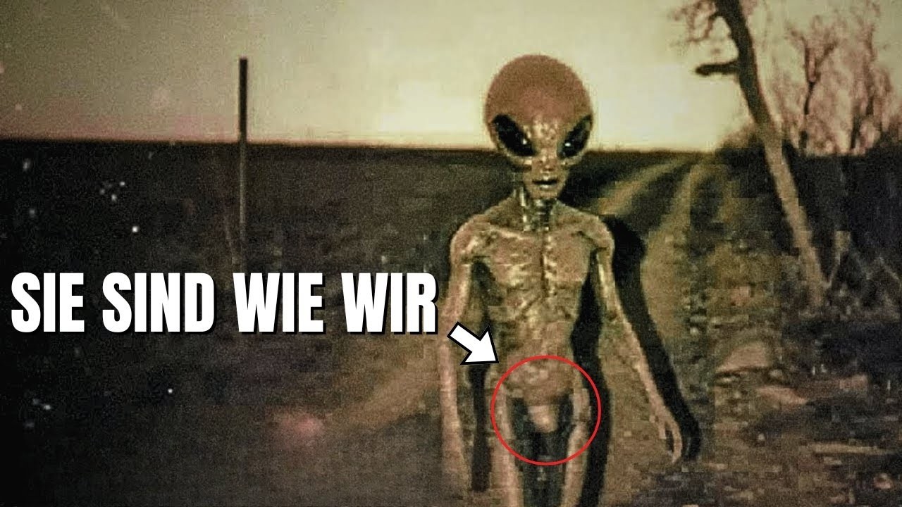 5 Neue UFO-Sichtungen, die Jeder Logik Trotzen | Metallische Kugeln, Scheiben-UFOs und Mehr