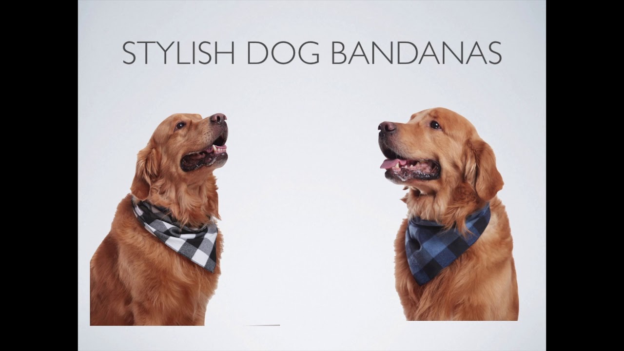 Dog Bandana - 4 Pack Cotton Bandanas Accessories for Small Medium Large Dogs Puppies