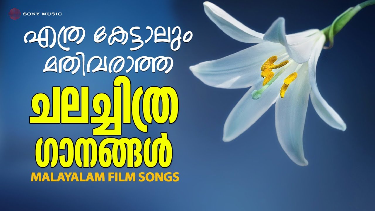 എത്രകേട്ടാലും മതിവരാത്ത ചലച്ചിത്ര ഗാനങ്ങൾ | Malayalam Film Songs | Audio Jukebox