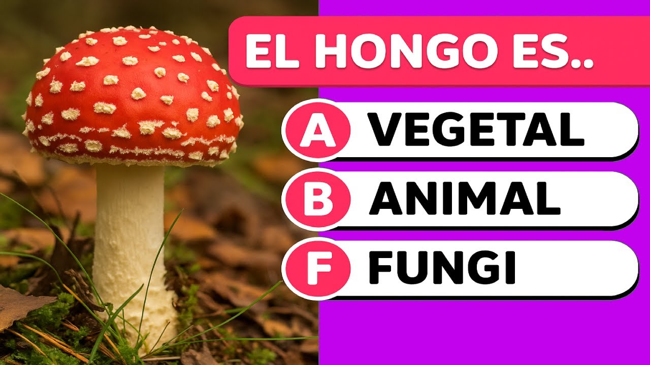Desaf&iacute;a tu mente con estas preguntas IMPOSIBLES