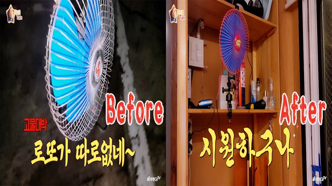 작약꽃 ＂레전드 선풍기  주운거 맞아???