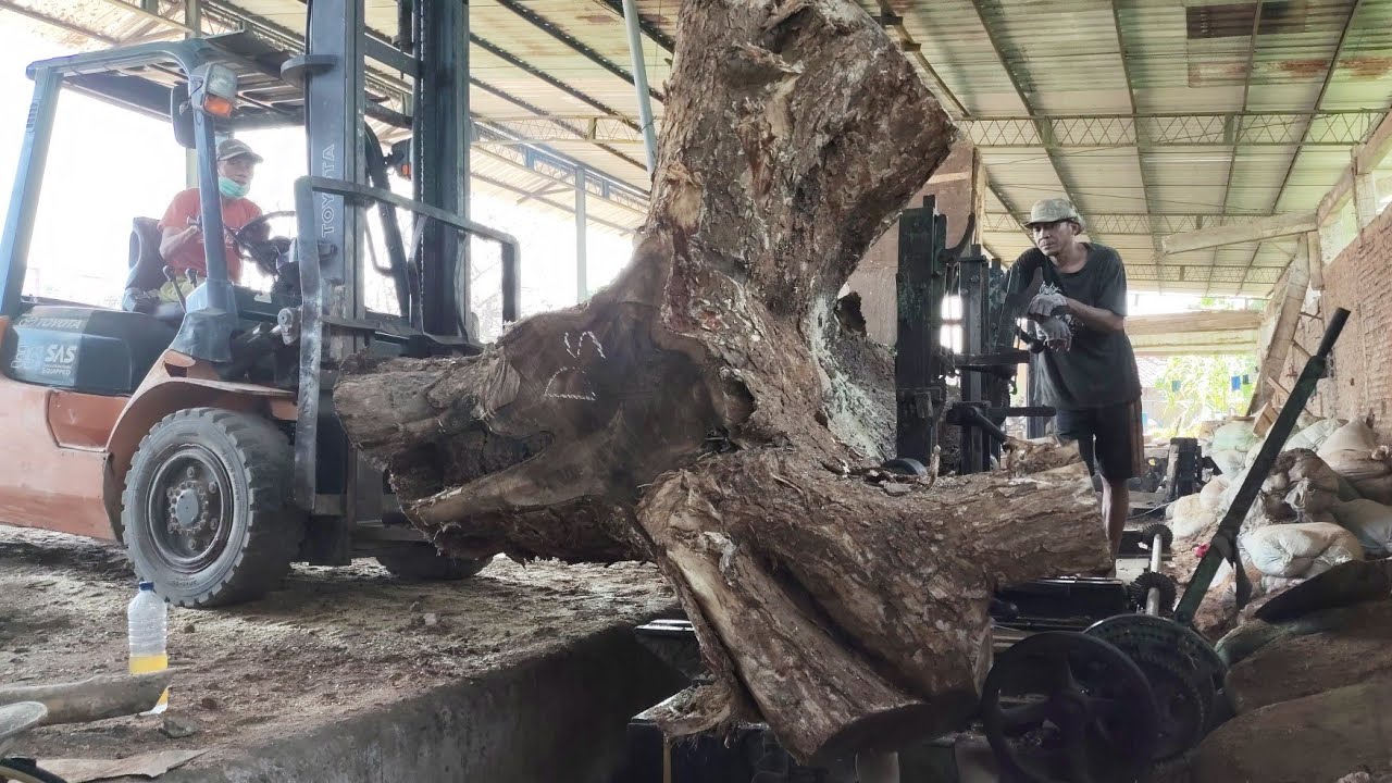 УНИКАЛЬНАЯ БОЛЬШАЯ ВЕТКА ДЕРЕВА!! МАСТЕРА ДРЕВЕСИНЫ В СОВРЕМЕННУЮ ЭПОХУ