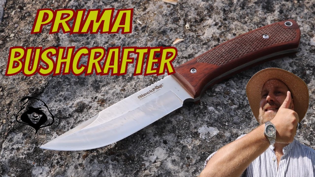 Companion Black Fox 741 - Mehr Sein als (Jagd) Schein
