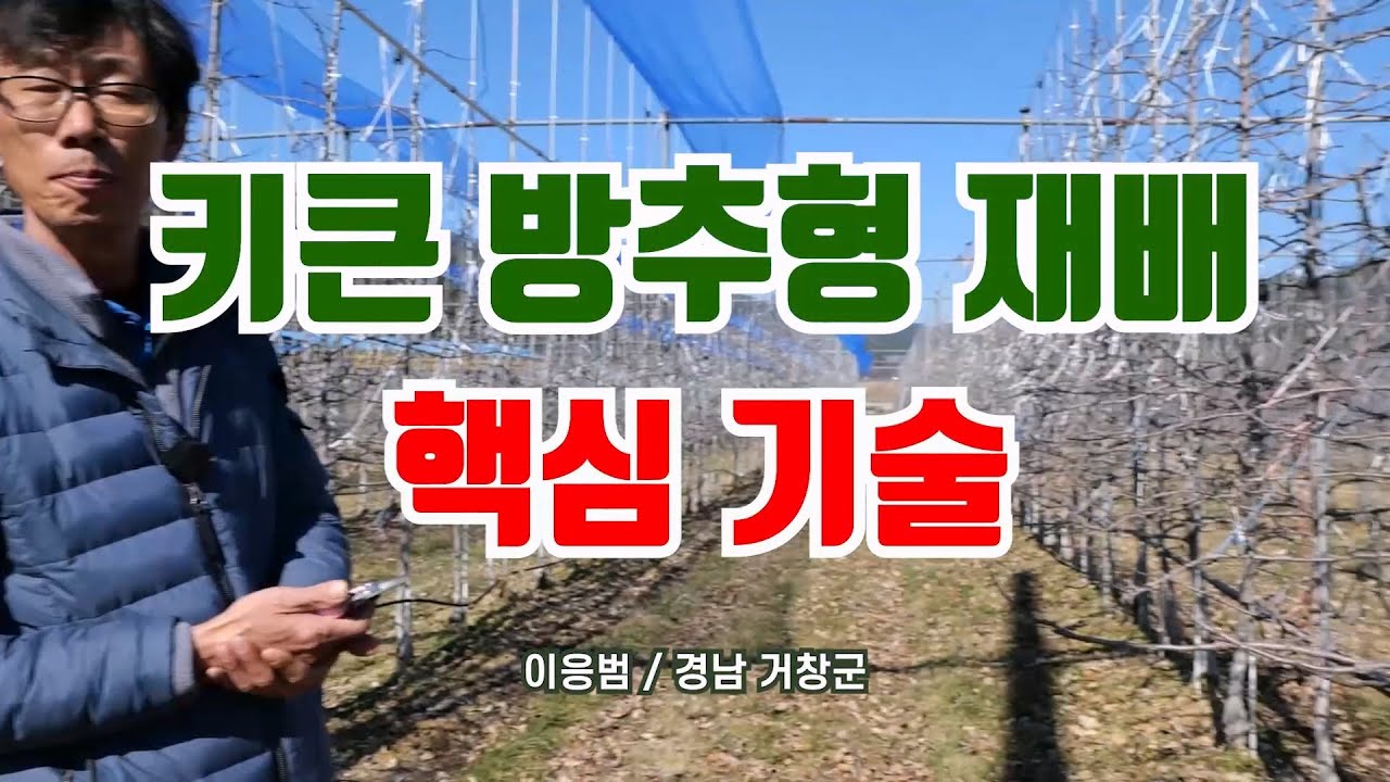 키큰 방추형 재배의 핵심 기술