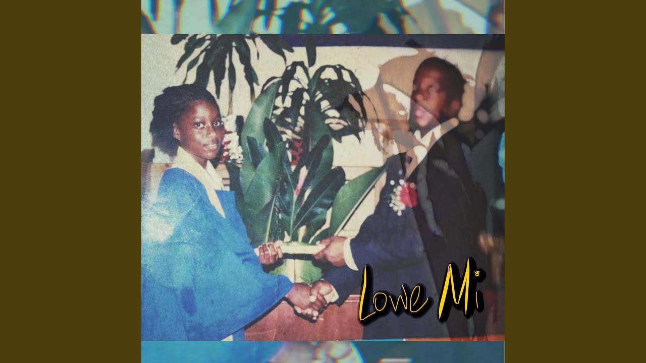 Lowe Mi