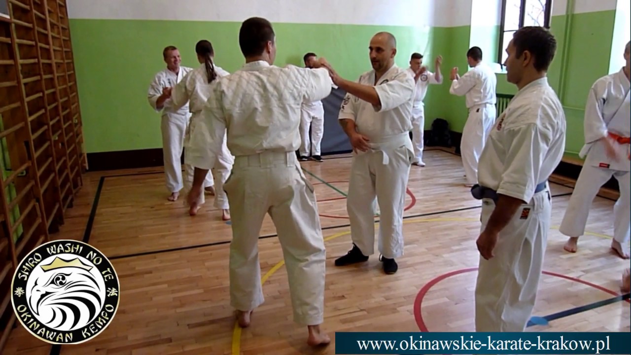Staż Okinawan Kempo Karate Kraków 15.10.2016 #IOKF - Renshi Ludwik Orthwein / Norbert Andrzejewski