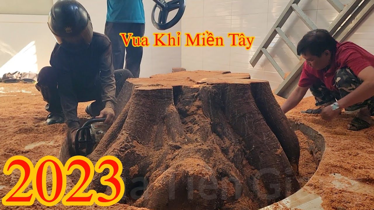 Gốc cây Bồ Đề nằm trong nhà , Vua Khỉ có cưa hoàn thành không ? Cutting bodhi tree