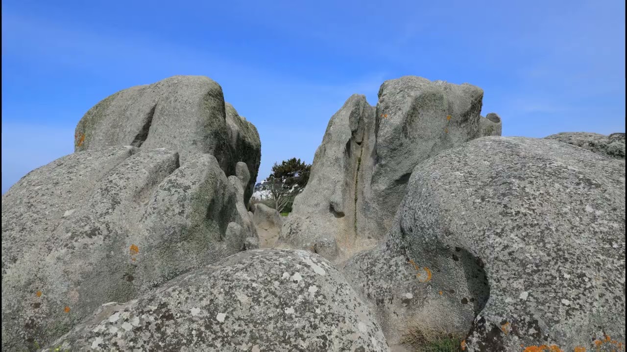 Bretagne : Lesconil 29 Avril 2022