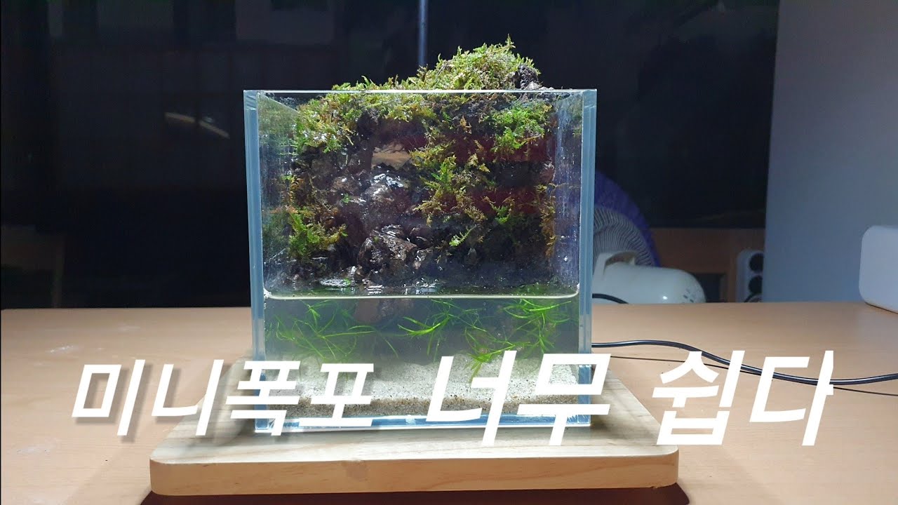 누구나 따라할수 있는 미니폭포 팔루다리움(Mini waterfall Paludarium that anyone can follow)