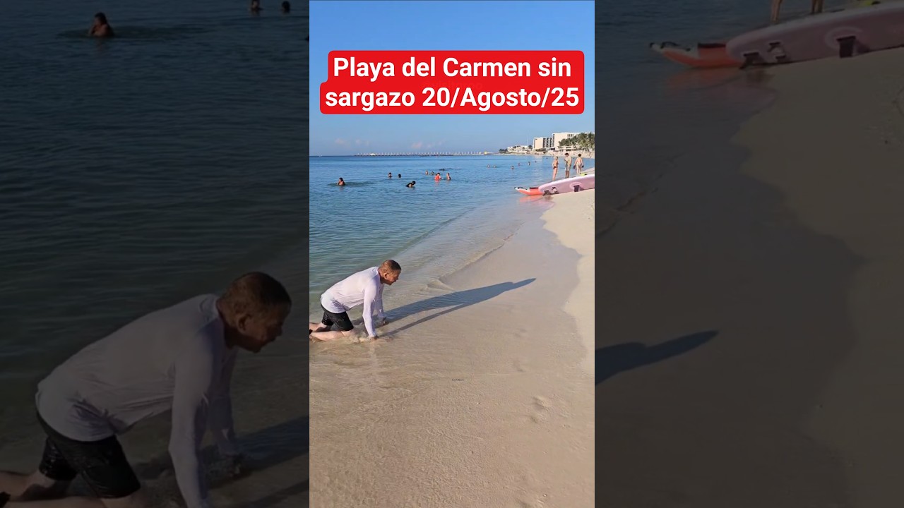Se fue el sargazo en estas playas de Playa del Carmen 20/08/25