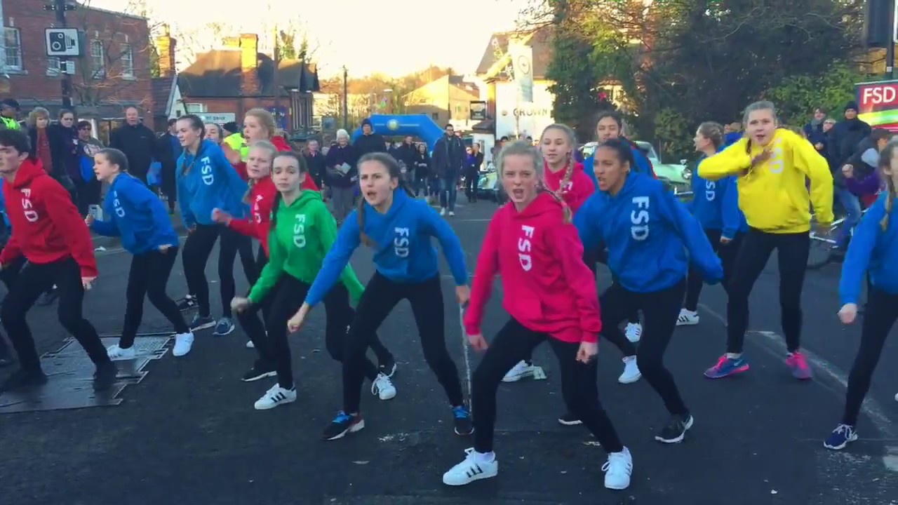 FSD Flash Mob 2016
