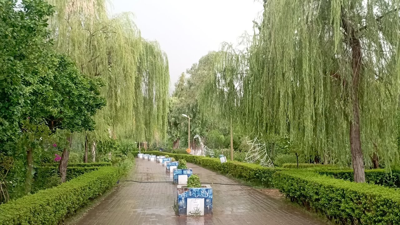 عين تامدة ain Tamda 