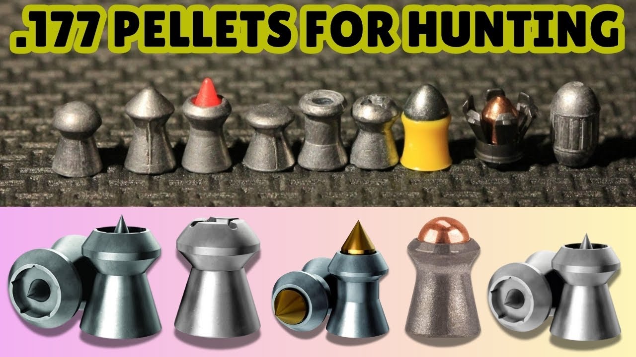 Best .177 Pellets for Hunting of (2025)