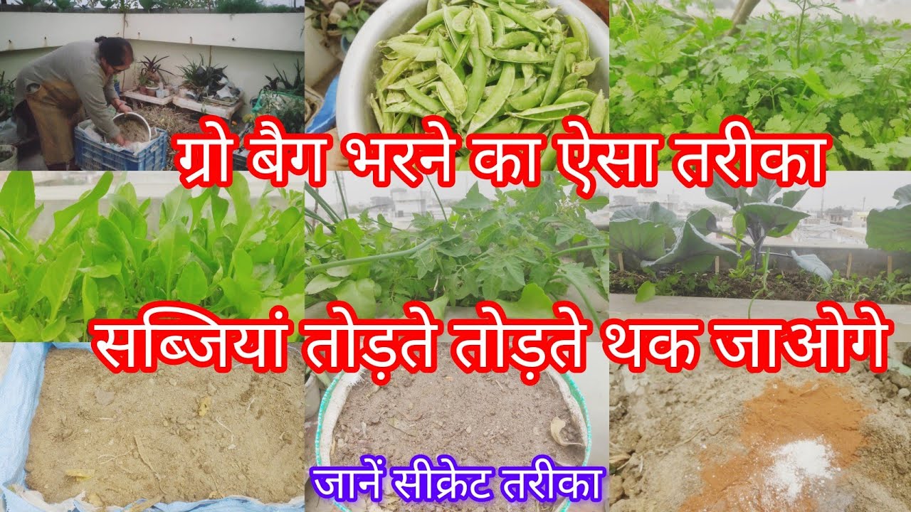  मिट्टी बनाने का ऐसा तरीका जिसमें गर्मी वाली सब्जियां इतनी होगी तोड़ते तोड़ते थक जाओगे#kumudvlogs 