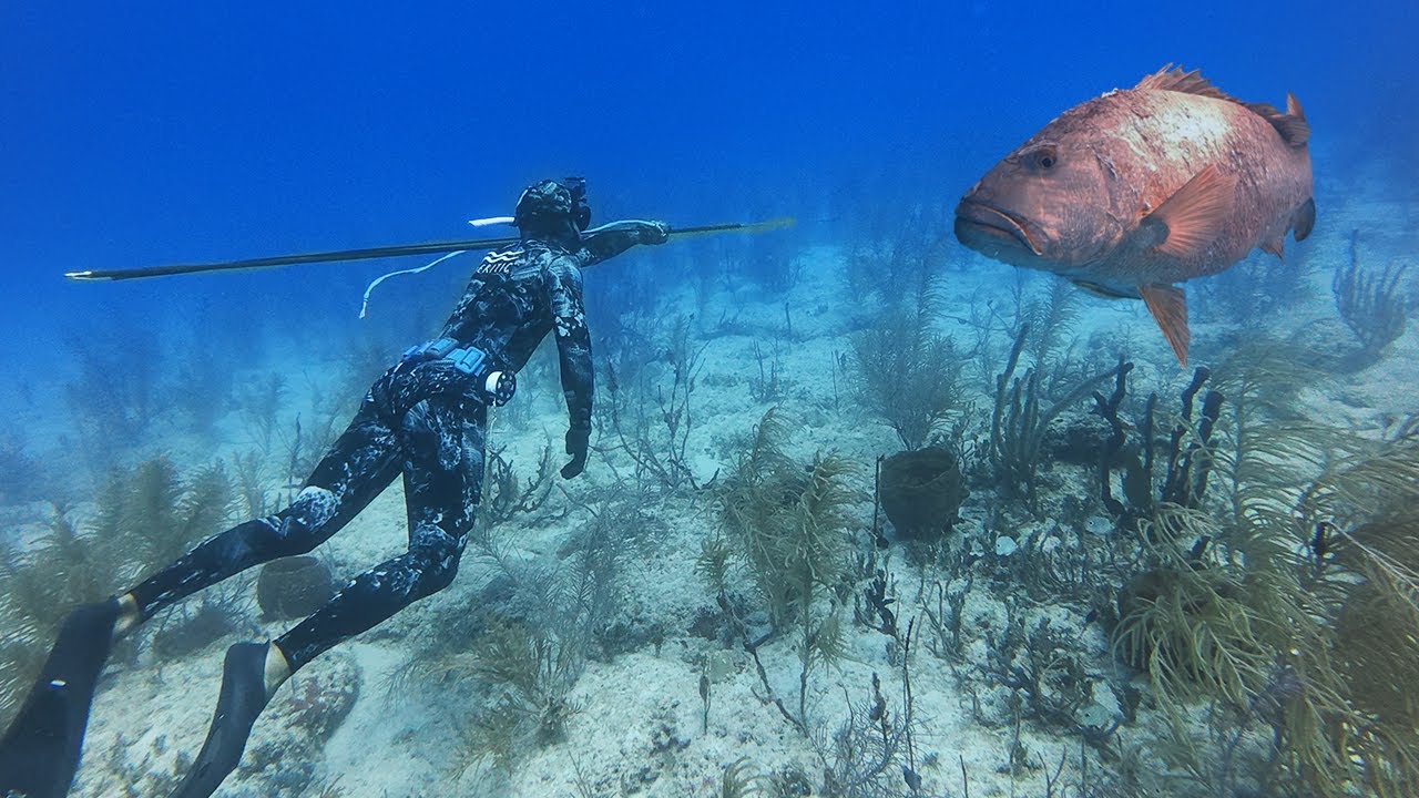I Can’t BELIEVE IT! | My BIGGEST FISH On Polespear! | Bahamas Catch n Cook