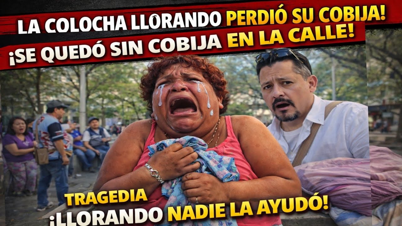 Colocha perdio su cobija17 de febrero de 2026