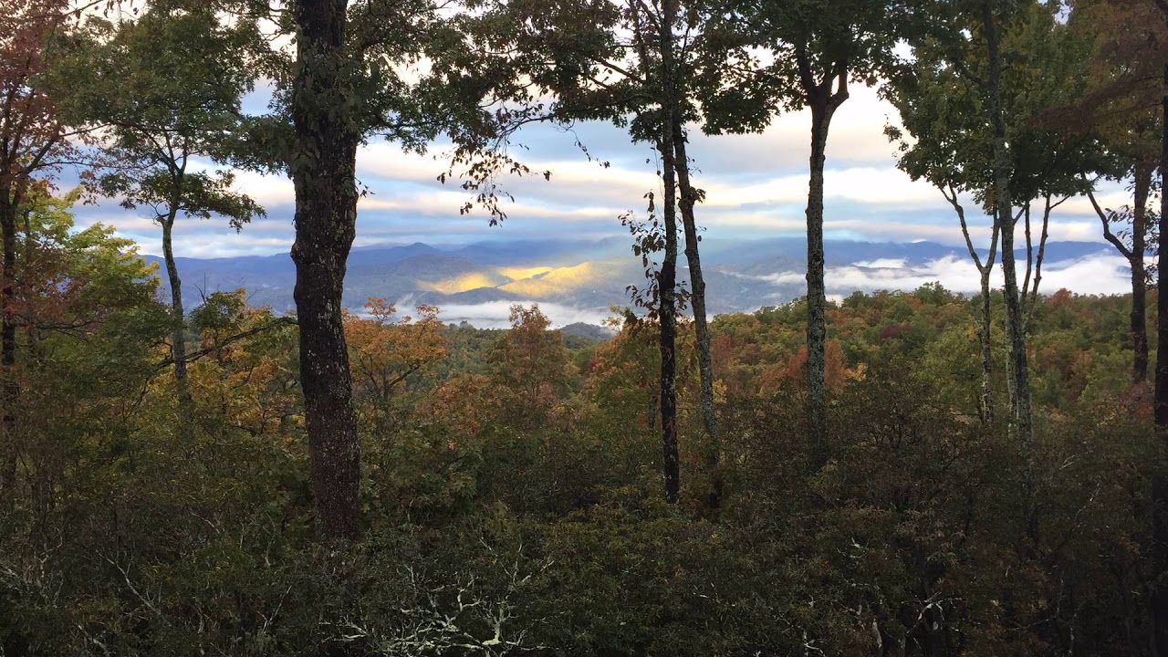 Dancing Light 10/27/18
