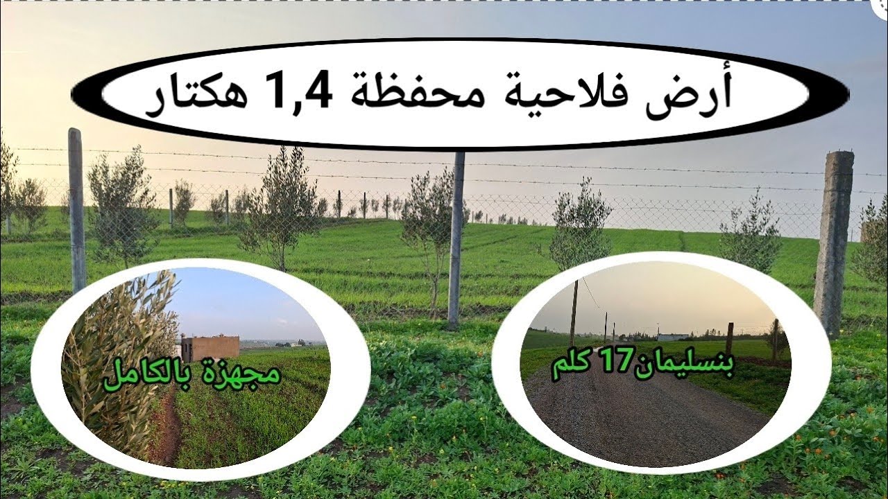 أرض فلاحية محفظة 1 هكتار و 400 م² ، مجهزة بالكامل و على الطريق المعبدة بضواحي بنسليمان 