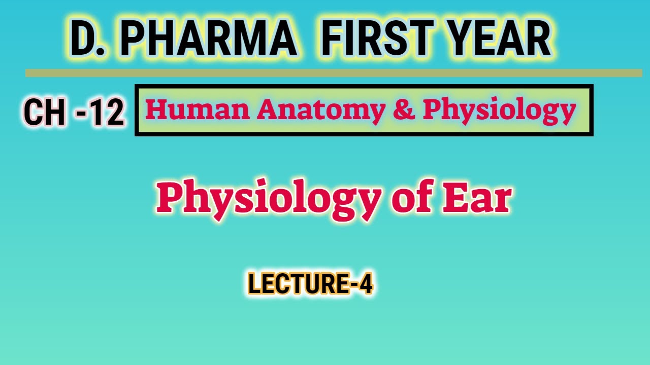 Physiology of Ear | Ch-12 | L-4 | Sense organ | Human anatomy and physiology | D.Pharm first year