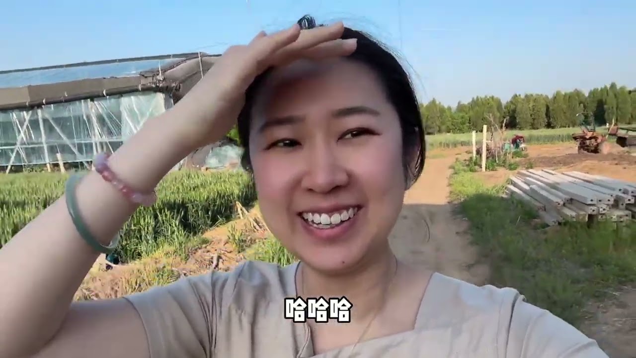 给五舅拿两瓶衡水老白干尝尝，顺便去帮帮忙，又是摘樱桃，又是分拣打包的，还挺费事。大热天的，大棚里摘樱桃太受罪了，不仅热，还有蚊子。#记录真实生活 #日常vlog #婚后日常 #樱桃 #新鲜采摘 @D