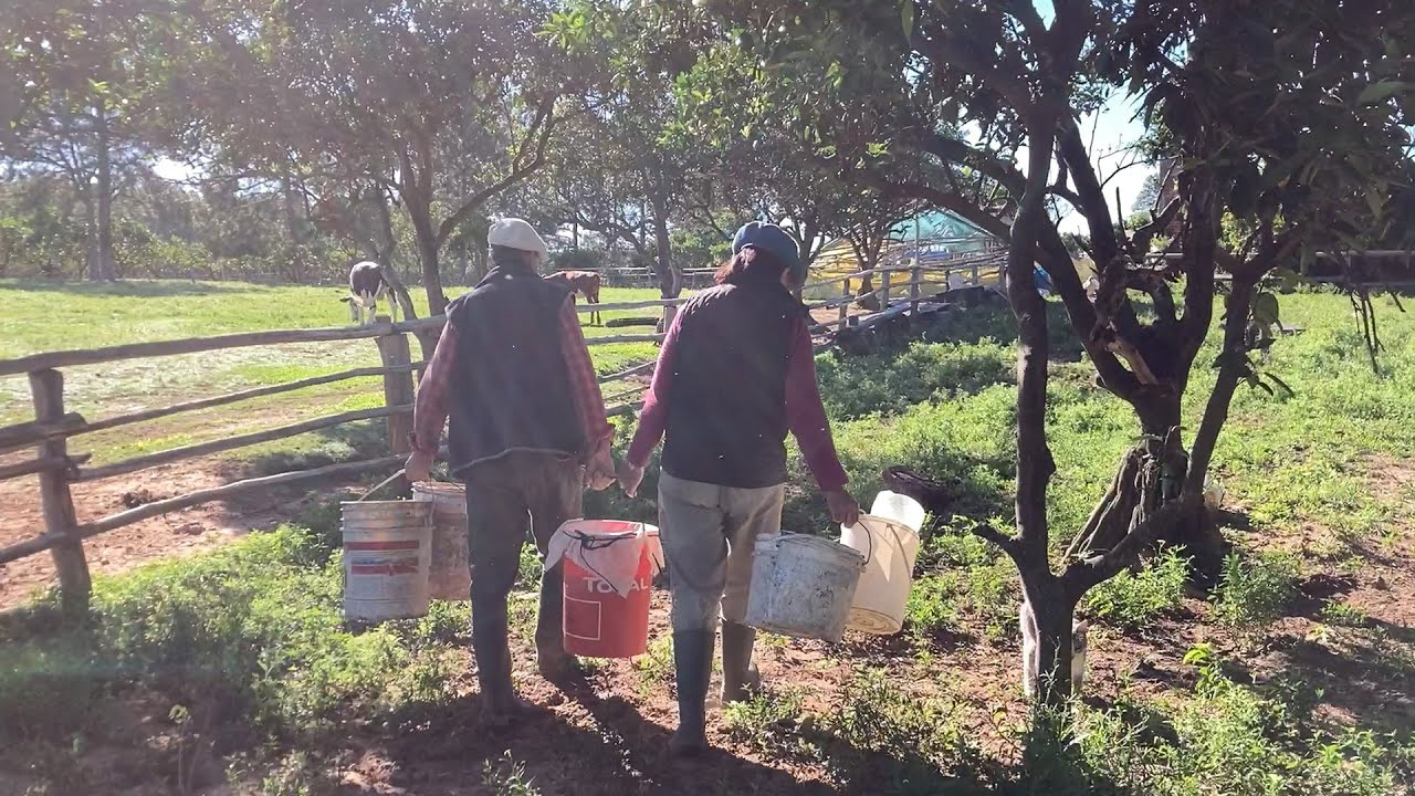 De Sol a Sol: Trabajo Duro y Amor por los Animales. Hilda y Jorge viven en Colonia Santa, Entre Ríos