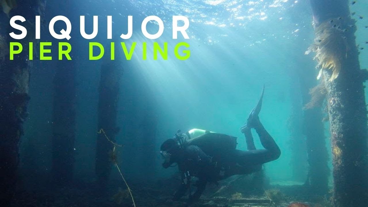 Diving the Siquijor Pier | Siquijor From Below