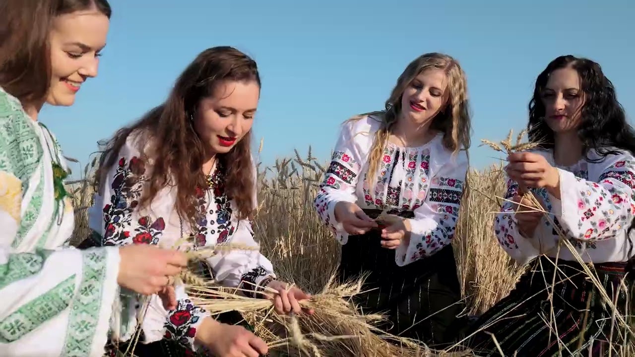Fetele din Godinești - Dj Vasile (cover)