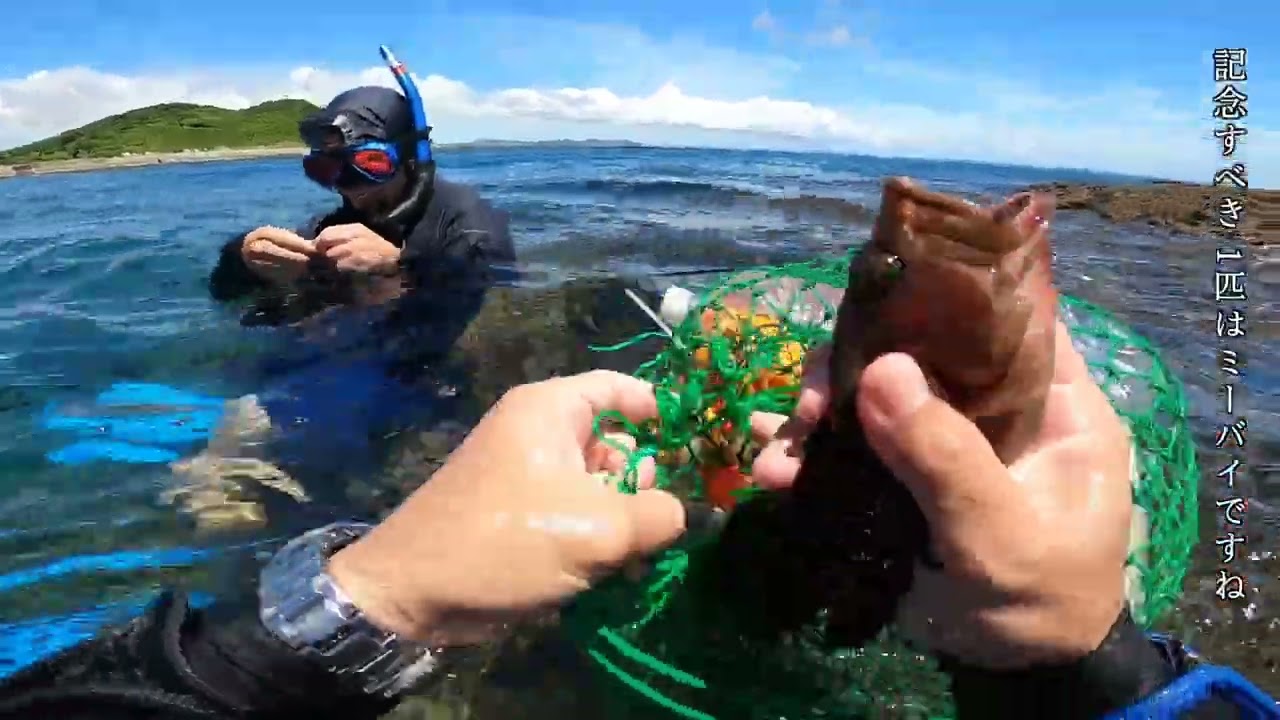 【※マネしないで】釣竿を持ったまま海にドボン！海底で泳ぐ魚目掛けて仕掛けを投入すると、、、