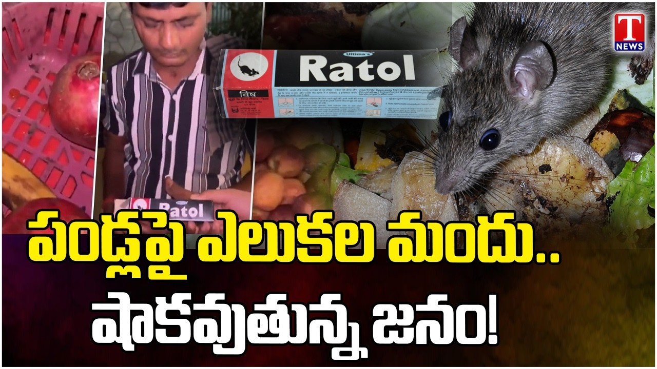 Fruit seller caught on camera allegedly applying rat poison on fruits in Malad | T News