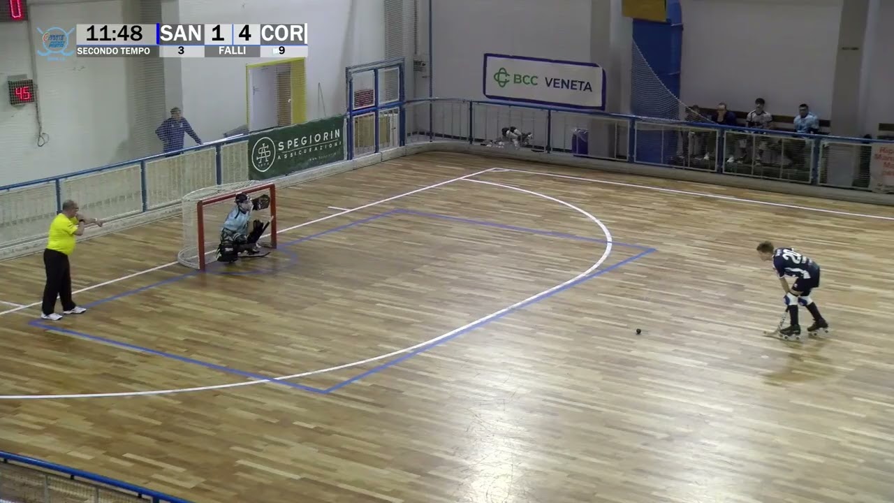 Serie A2 - Gli highlights di Sandrigo Hockey-BDL Mini Motor Correggio