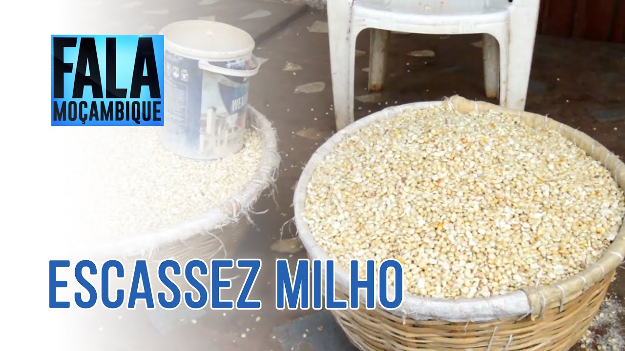 ESCASSEZ DE MILHO EM MANICA