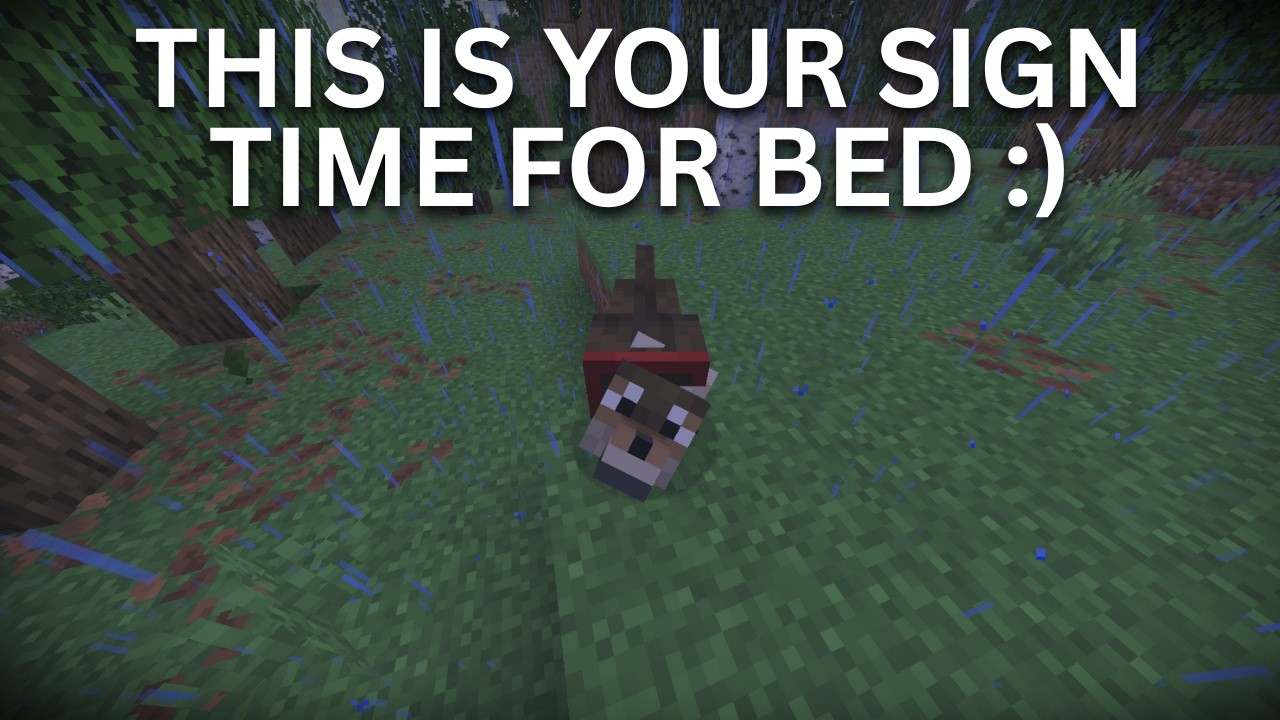 Daily Dose Of Good News To Help You Sleep