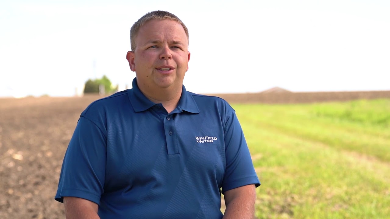 South Dakota Soybean - Best Bean Practice:  Aphid Thresholds & Management