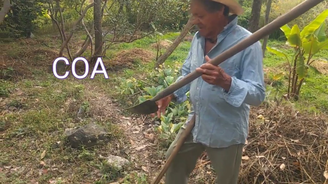 Herramientas agrícolas ancestrales