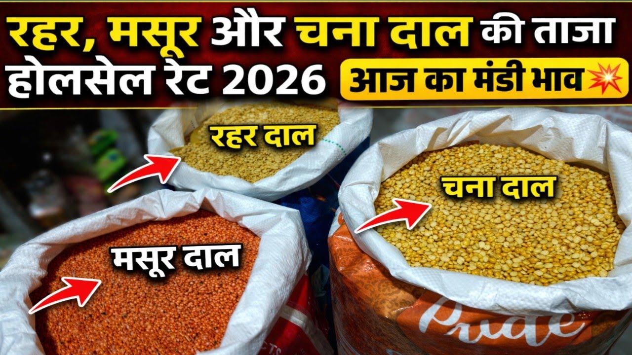 Latest wholesale rate of Rahar, Masoor and Chana dal 2026 | Today's market price 💥