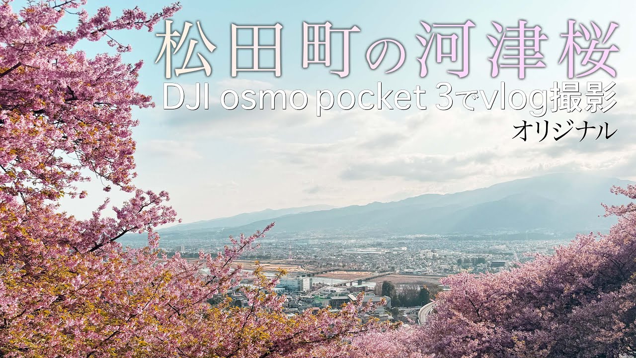 DJI osmo pocket 3で河津桜を撮ってみた 4Kオリジナル版【マップレンタル】字幕つき
