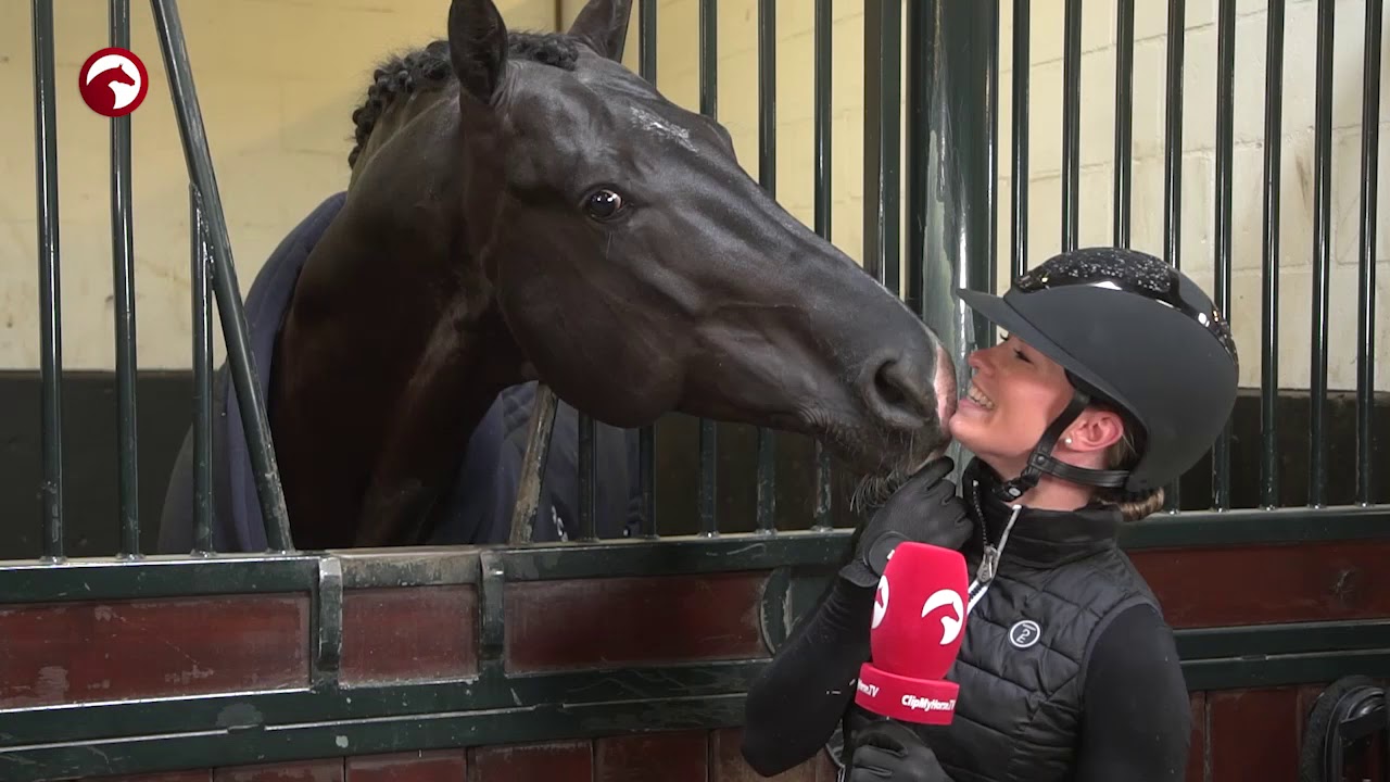 Van Olst Horses Jayson