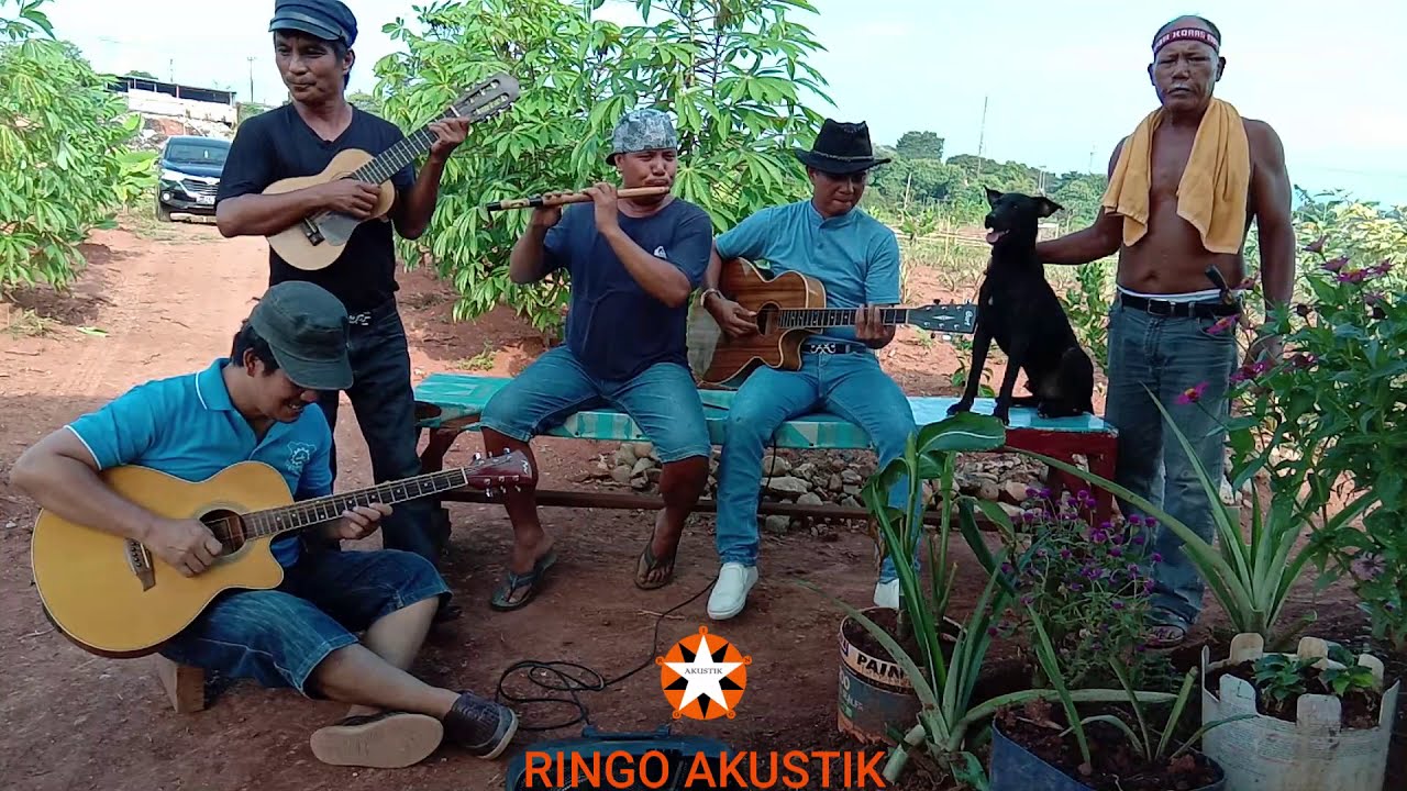 TU DIA NAMA AU LAO ? : RINGO AKUSTIK