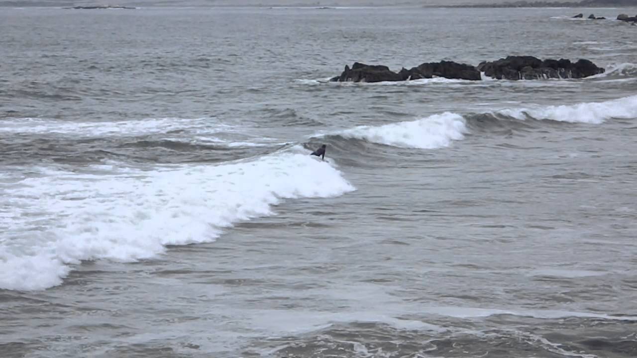 Surf Slow motion Chile Concon