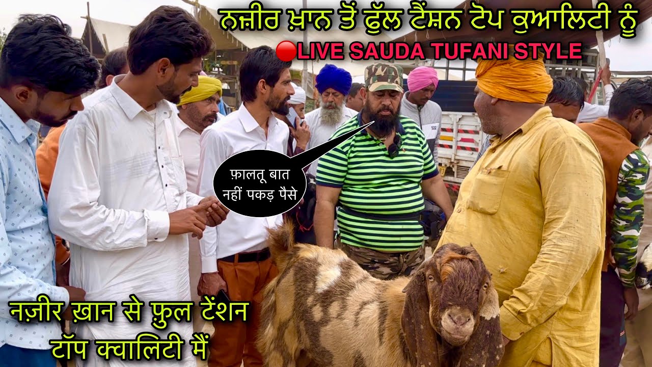नज़ीर ख़ान से फ़ुल टेंशन टॉप क्वालिटी मैं #live_sauda tungwali mandi tufani style @farming baba goats