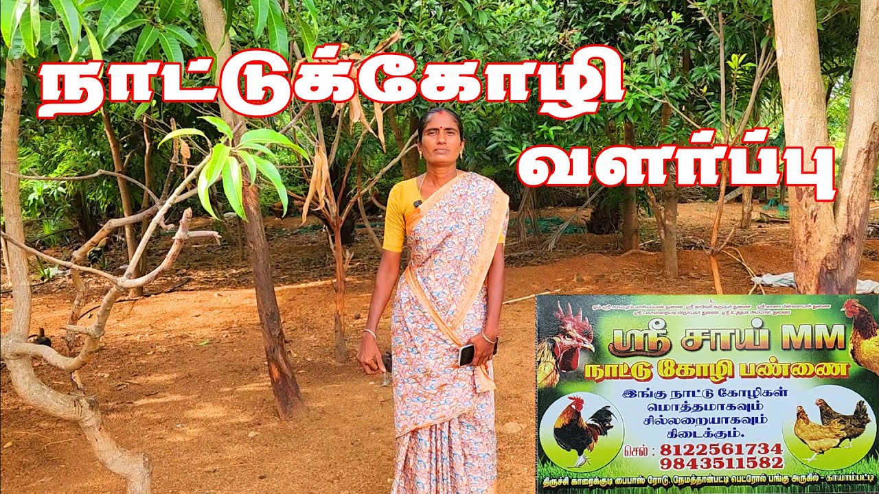 லாபம் தரும் கோழிகள் வளர்ப்பு | Nattukoli Valarppu | Village Tamizhan
