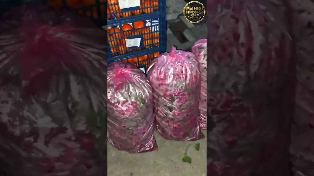 Закупка редиски в Желябовке.
