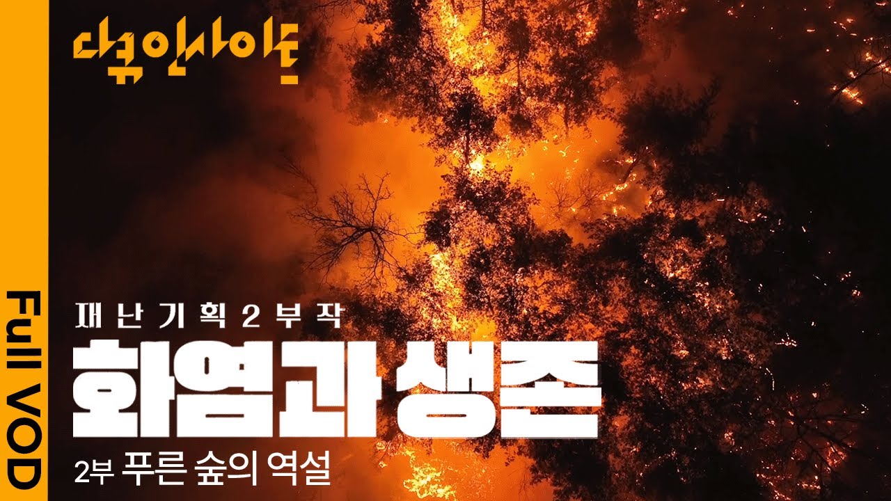 작은 불씨가 초대형 산불로🔥 불을 막아도 산불이 커지는 &lsquo;산불의 역설&rsquo; l KBS 다큐 인사이트 재난기획 : 2부 화염과 생존 &ndash; 푸른 숲의 역설 25.08.07 방송