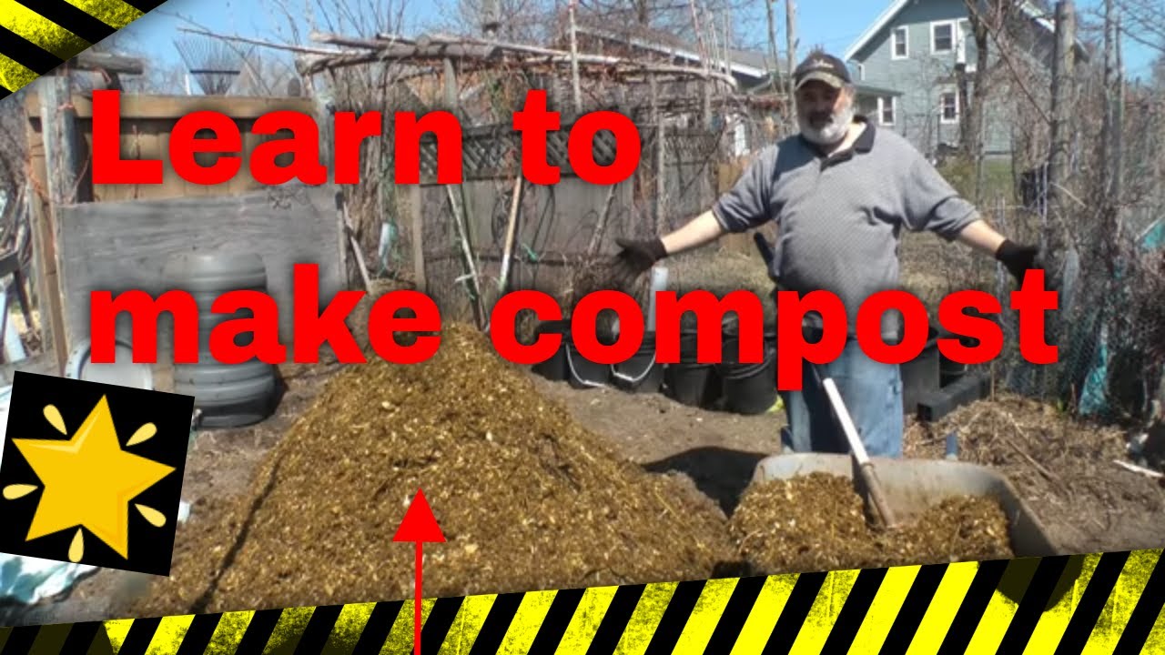 Absolutely the best compost to make (How to grow food)