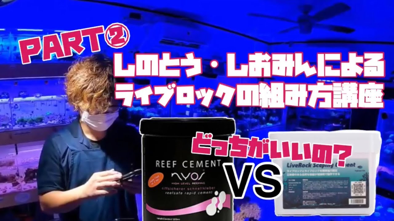 しのとう&しおみんによるライブロックの組み方講座！実践編パート②！ショートマンTV!