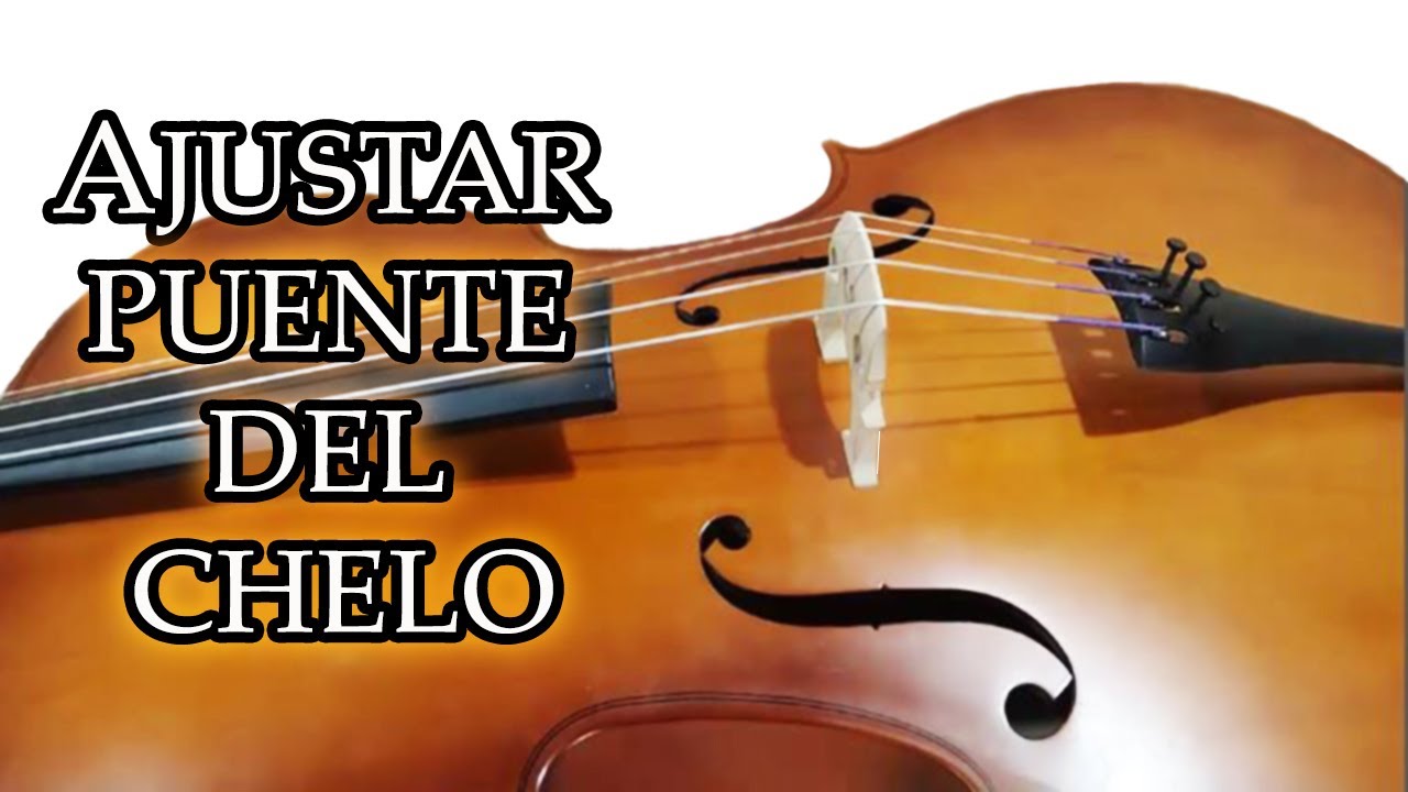Como Calibrar PUENTE y CUERDAS de  VIOLONCHELO